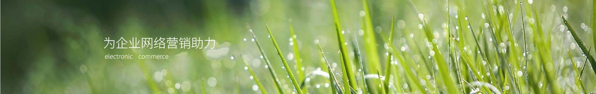оϻάƼ޹˾